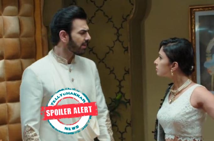 Kahaan Hum Kahaan Tum: Rohit kicks Raima out of Sippy house 