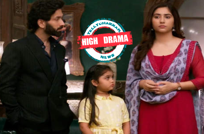 Bade Acche Lagte Hain 2: High Drama! Priya considers Ram’s wish; is terrified of losing Pihu