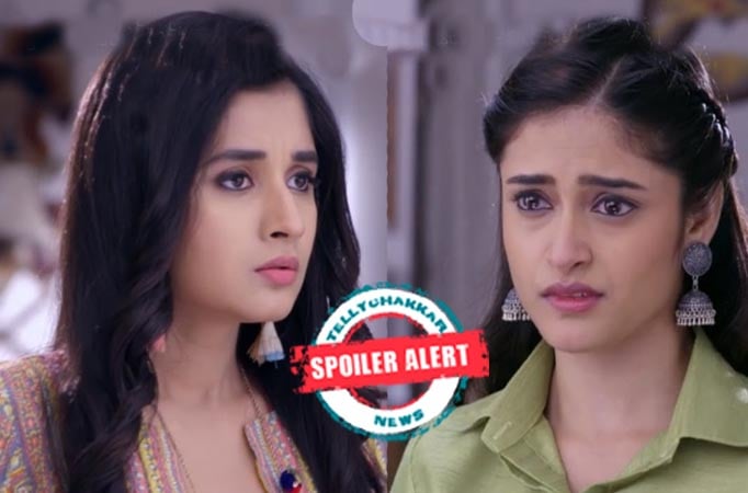 Guddan Tumse Na Ho Payega: Guddan to fight against own sister Revti?