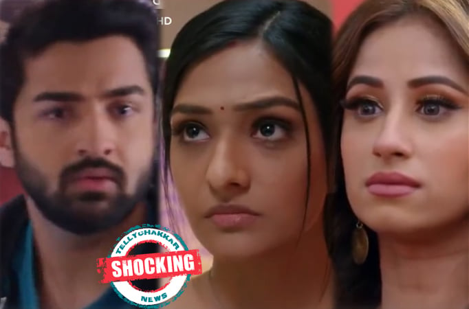 SHOCKING! Bhagyalakshmi: Rishi confesses his love for Lakshmi, Malishka is stunned! 