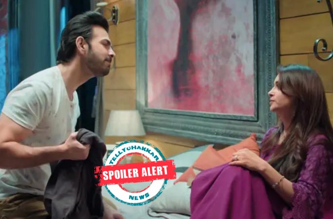 Kahaan Hum Kahaan Tum: Pooja's adoption truth published Rohit point fingers on Sonakshi