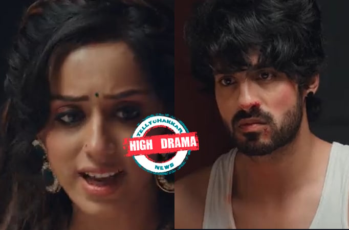 Yeh Hai Chahatein: High Drama! Preesha and Rudraksh aim to get Nalini's phone!