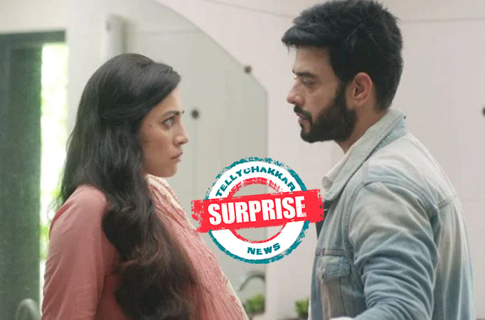 Zindagi Mere Ghar Aana: Surprising! Not Pritam; Amrita welcomes THIS person in her life