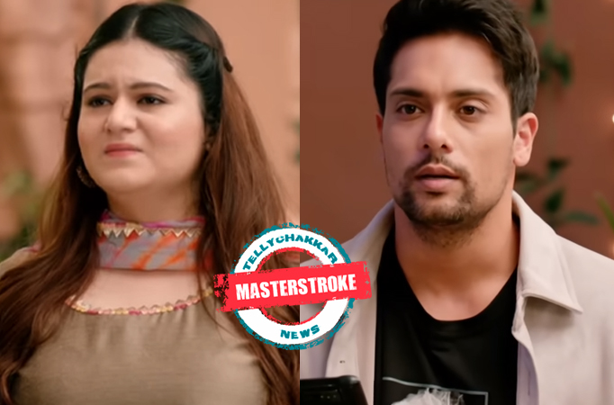Bade Acche Lagte Hain 2: Masterstroke! Sandy to take Shubham in confidence, wants him to think of her as an ally