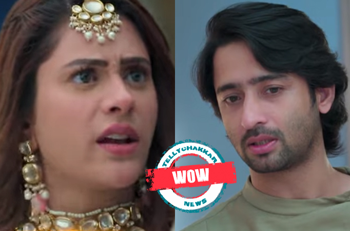 Woh Toh Hai Albelaa: Wow! Sayuri is on cloud nine, thanks to Krishna’s praises