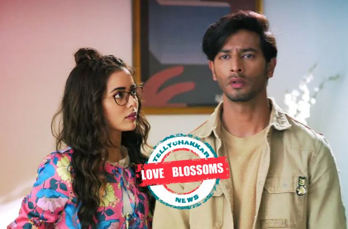 Spy Bahu: Love Blossoms! Sejal to learn Yohan’s feelings for her