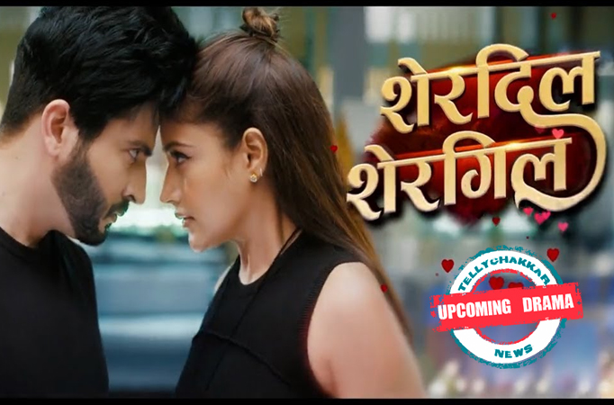 Sherdil Shergill: Upcoming Drama! How will Raj and Manmeet’s tashan turn into a love story?