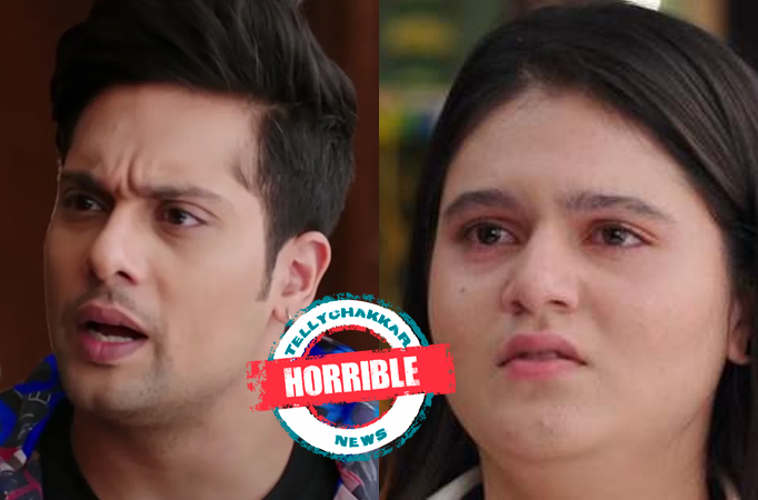 Bade Achhe Lagte Hain 2: Horrible! Shubham misuses Sandy against Sood family