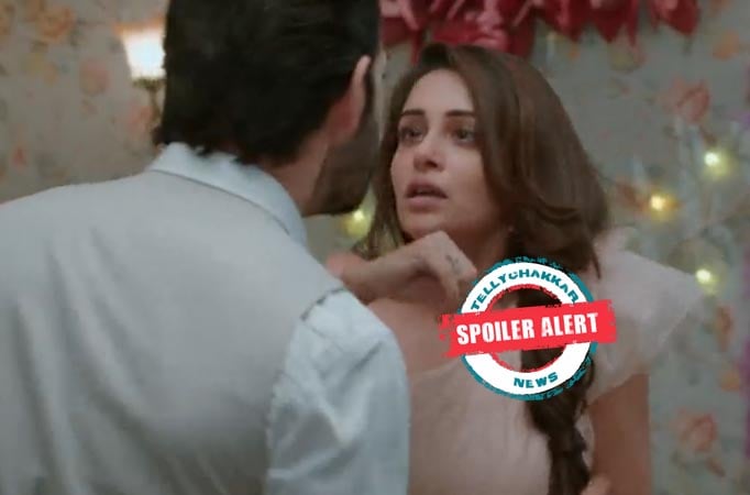 Kahaan Hum Kahaan Tum: Rohit thrashes Karan for molesting Sonakshi!