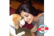 R.I.P: Shilpa Shetty Kundra mourns the loss of her pet dog Princess