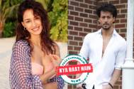 disha-tiger