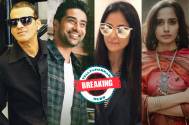 Exclusive! Monoj Bajpayee, Suraj Sharma, Simran Rishi Bagga, and Kaveri Seth to star in movie titled Gulmohar 