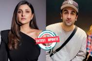 Latest Update! Parineeti Chopra ditches Ranbir Kapoor starrer ‘Animal’ for an upcoming project with THIS popular Bollywood direc