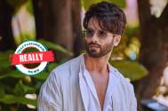 Really! Shahid Kapoor starrer ‘Bull’ put on hold, the actor explains the reason