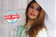 Latest Update! After Conman Sukesh Chandrasekhar, Jacqueline Fernandez is rumored to dating THIS co-star