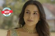 Whoa! Netizens Troll Shehnaaz Gill over her recent encounter with the paps; call her rude and arrogant