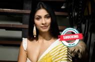 Shocking! "Puja Mein Aaye Ho Ya fashion show me" Netizens rolls Tanishaa Mukerji on her dressing as she was seen in Durga Pandal