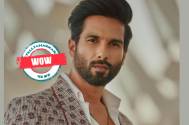 Wow! Shahid Kapoor shares photo from new sea-facing high-rise apartment 