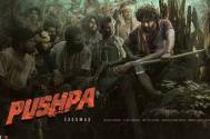 Pushpa Teaser and movie Avatar 2 to be released on the same day?