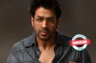 rajat Bedi
