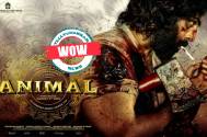 Animal