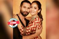 Shahid 