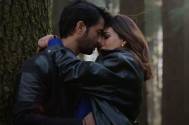 Shaheer 
