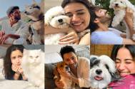 Varun 