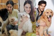 Pets Day