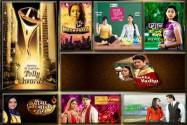 Twelfth Indian Telly Awards