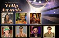 Who will win the Best Actor in a Lead Role (Male) in the 13th Indian Telly Awards?