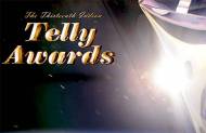 Are you excited for the ground event of the13th Indian Telly Awards?