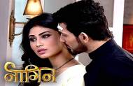Naagin ends: Will you miss the show?