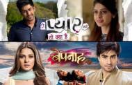 Which show did you like the most? 