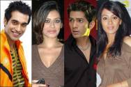 Kushal Punjabi, Payal Rohatgi, Amit Tandon and Barkha Bisht