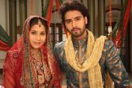 Veebha and Rohit 