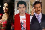 Dimple Jhangiani, Harshad Arora and Naved Aslam