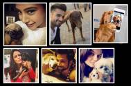 Insta love: #Petfies of TV Celebs