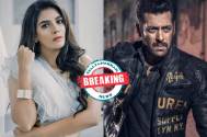 Pooja Gor &  Salman Khan’s next on Sony TV 