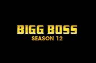 Colors Bigg Boss 12 will have a TWIST; here’s how you can participate