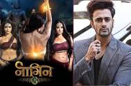 Pearl V Puri