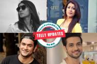 Telly updates