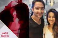 Shaheer Sheikh and Erica Fernandes
