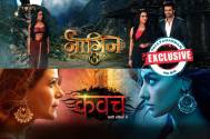 Naagin 3
