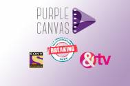 Purple Canvas Productions