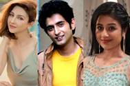 TV stars share how they will celebrate Diwali  