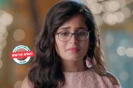 Yeh Rishtey Hai Pyaar Ke: Pandit informs Mishti about Mehul in Rajgarh 