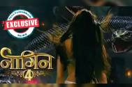 Revealed: Launch date of Colors’ Naagin 4  