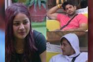 Bigg Boss 13: Fans love the friendship and chemistry shared by Siddharth, Asim, and Shehnaz