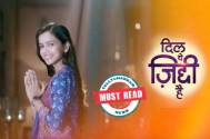 Review: Dil Yeh Ziddi Hai brings a unique perspective to television viewing 